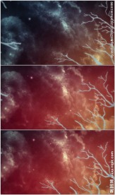 仰拍树枝启明星黎明下雪动画