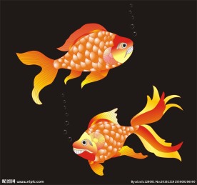 年年有鱼 矢量鱼