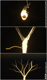 金色全息树枝生长动态