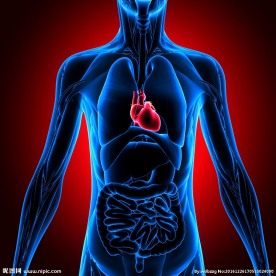 3D演示人体心脏