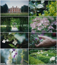 幽静的秘密花园