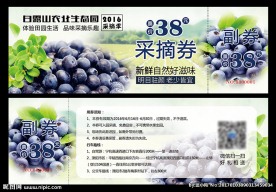 蓝莓采摘券