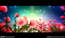 唯美花海喜庆视频素材