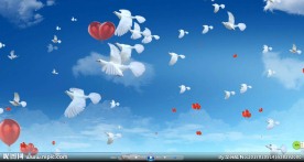 幸福白鸽 蓝天视频素材