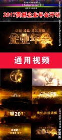 2017震撼企业年会开场