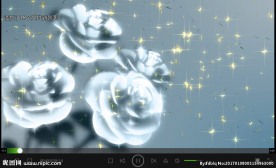 玫瑰 求婚 背景 素材