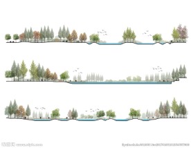 湿地公园 滨水景观PSD立面图