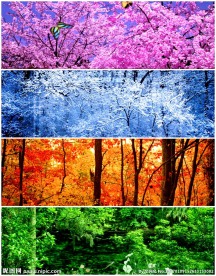 春夏秋冬四季视频