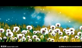 梦幻蒲公英 花丛