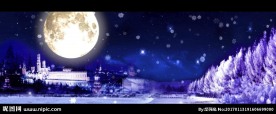 冬雪 月圆夜
