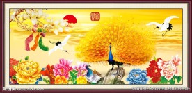 牡丹花