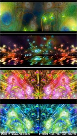 民族风傣族孔雀舞