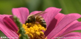 四季风景 春夏秋冬