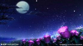 中秋花月夜