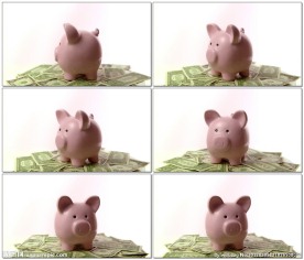 小猪扑满坐在美元上