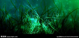 唯美夜景 草地 花纹