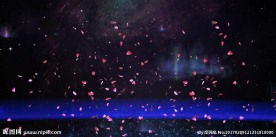 星空 花瓣
