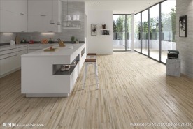 瓷砖效果图  室内设计  厨房