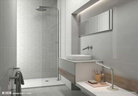 瓷砖空间  室内  浴室