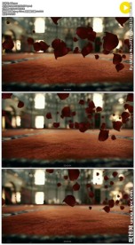 玫瑰花漂浮在红地毯上