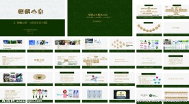 品牌策划执行全案麒麟山泉