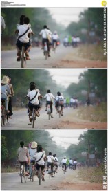 柬埔寨骑自行车上班的人