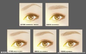 AI逼真纹眉眼睛眉毛矢量图