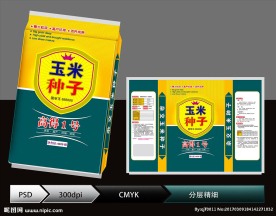 玉米种子( 展开图)