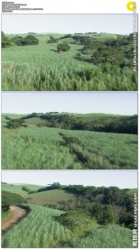 航拍辽阔的土地农作物