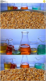 玉米和实验烧杯实拍视频素材