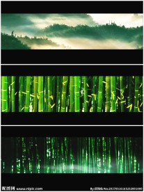 武侠竹林大气 青山