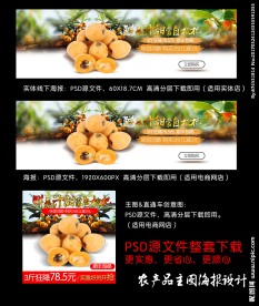 高清PSD枇杷海报主图创意设计