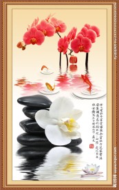 石头
