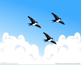 小燕子飞翔田边23秒动画