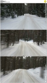 森林雪地穿梭