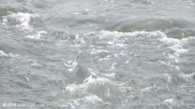 小河流水高清视频 素材