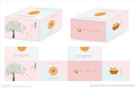 包装盒设计效果图 平面图 分层