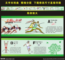 校园体育文化墙