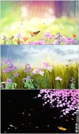 蝴蝶花卉动态背景