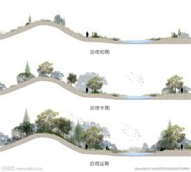 景观剖立面图