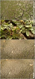 土地干裂