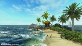 沙滩 大海 蓝天 椰树视频