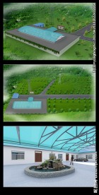 阳光棚 拱形棚鸟瞰 假山