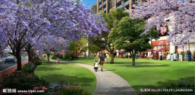 城市绿化效果图