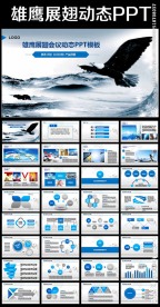 雄鹰展翅展望未来展翅飞翔PPT