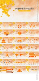 小清新银杏毕业答辩