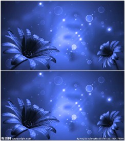 浪漫蓝色花朵动态背景