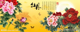牡丹花