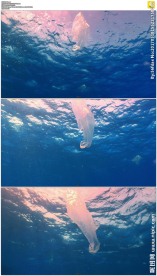 海洋里的垃圾塑料袋