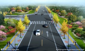 道路绿化